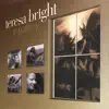 Teresa Bright - A Gallery